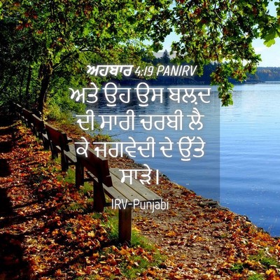 Picture 04 - ਅਹਬਾਰ 4:19 PANIRV - ਅਤੇ ਉਹ ਉਸ ਬਲ਼ਦ ਦੀ - Bible Verse Picture