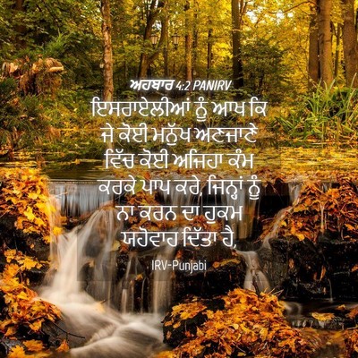 Picture 04 - ਅਹਬਾਰ 4:2 PANIRV - ਇਸਰਾਏਲੀਆਂ ਨੂੰ ਆਖ - Bible Verse Picture
