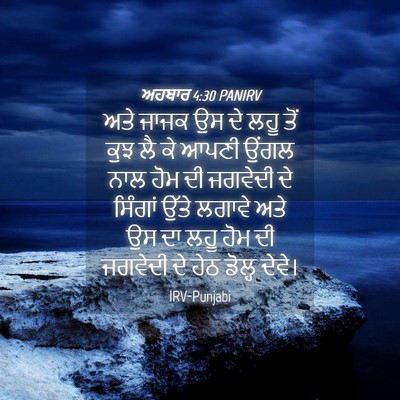 Picture 04 - ਅਹਬਾਰ 4:30 PANIRV - ਅਤੇ ਜਾਜਕ ਉਸ ਦੇ ਲਹੂ - Bible Verse Picture