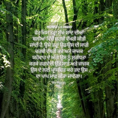 Picture 04 - ਅਹਬਾਰ 4:31 PANIRV - ਫੇਰ ਜਿਸ ਤਰ੍ਹਾਂ - Bible Verse Picture
