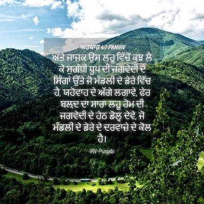 Picture 04 - ਅਹਬਾਰ 4:7 PANIRV - ਅਤੇ ਜਾਜਕ ਉਸ ਲਹੂ - Bible Verse Picture