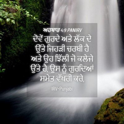 Picture 04 - ਅਹਬਾਰ 4:9 PANIRV - ਦੋਵੇਂ ਗੁਰਦੇ ਅਤੇ - Bible Verse Picture