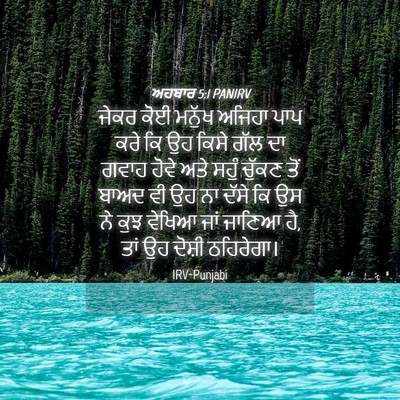 Picture 04 - ਅਹਬਾਰ 5:1 PANIRV - ਜੇਕਰ ਕੋਈ ਮਨੁੱਖ - Bible Verse Picture