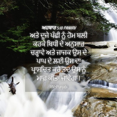 Picture 04 - ਅਹਬਾਰ 5:10 PANIRV - ਅਤੇ ਦੂਜੇ ਪੰਛੀ ਨੂੰ - Bible Verse Picture