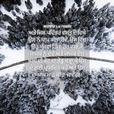 Picture 04 - ਅਹਬਾਰ 5:16 PANIRV - ਅਤੇ ਜਿਸ ਪਵਿੱਤਰ - Bible Verse Picture