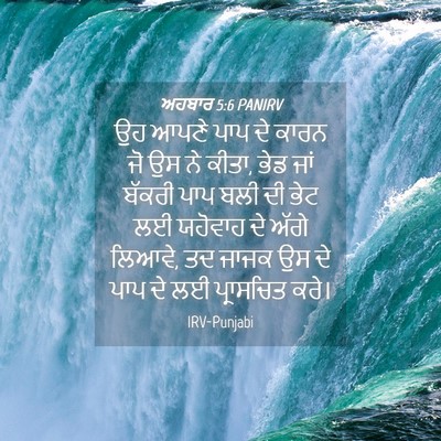 Picture 04 - ਅਹਬਾਰ 5:6 PANIRV - ਉਹ ਆਪਣੇ ਪਾਪ ਦੇ ਕਾਰਨ - Bible Verse Picture