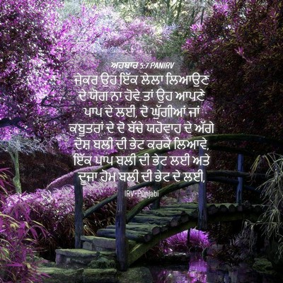 Picture 04 - ਅਹਬਾਰ 5:7 PANIRV - ਜੇਕਰ ਉਹ ਇੱਕ ਲੇਲਾ - Bible Verse Picture