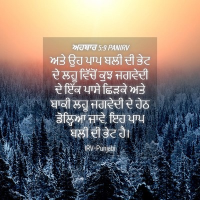 Picture 04 - ਅਹਬਾਰ 5:9 PANIRV - ਅਤੇ ਉਹ ਪਾਪ ਬਲੀ ਦੀ - Bible Verse Picture