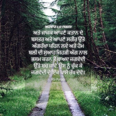 Picture 04 - ਅਹਬਾਰ 6:10 PANIRV - ਅਤੇ ਜਾਜਕ ਆਪਣੇ ਕਤਾਨ - Bible Verse Picture