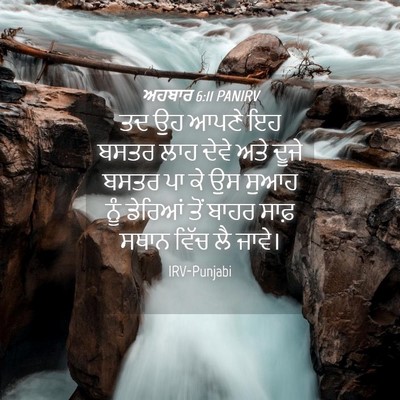 Picture 04 - ਅਹਬਾਰ 6:11 PANIRV - ਤਦ ਉਹ ਆਪਣੇ ਇਹ ਬਸਤਰ - Bible Verse Picture