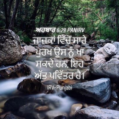 Picture 04 - ਅਹਬਾਰ 6:29 PANIRV - ਜਾਜਕਾਂ ਵਿੱਚੋਂ - Bible Verse Picture