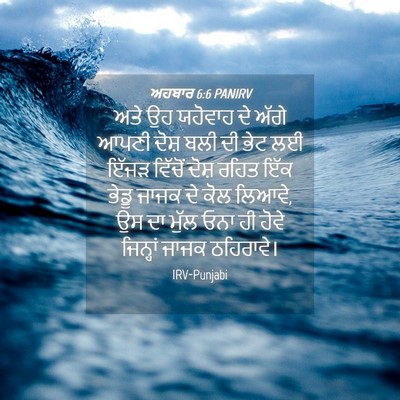 Picture 04 - ਅਹਬਾਰ 6:6 PANIRV - ਅਤੇ ਉਹ ਯਹੋਵਾਹ ਦੇ - Bible Verse Picture