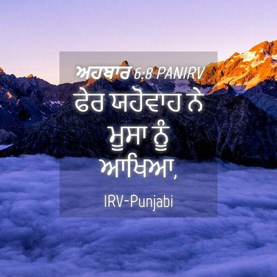 Picture 04 - ਅਹਬਾਰ 6:8 PANIRV - ਫੇਰ ਯਹੋਵਾਹ ਨੇ ਮੂਸਾ - Bible Verse Picture