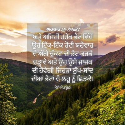 Picture 04 - ਅਹਬਾਰ 7:14 PANIRV - ਅਤੇ ਅਜਿਹੀ ਹਰੇਕ ਭੇਟ - Bible Verse Picture