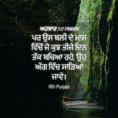 Picture 04 - ਅਹਬਾਰ 7:17 PANIRV - ਪਰ ਉਸ ਬਲੀ ਦੇ ਮਾਸ - Bible Verse Picture