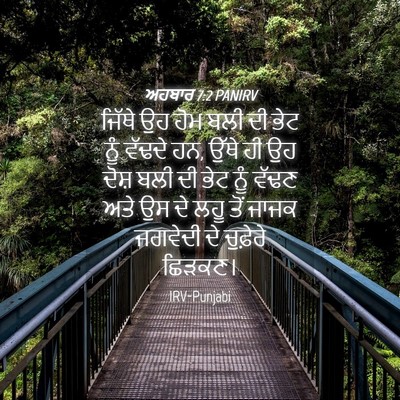 Picture 04 - ਅਹਬਾਰ 7:2 PANIRV - ਜਿੱਥੇ ਉਹ ਹੋਮ ਬਲੀ ਦੀ - Bible Verse Picture