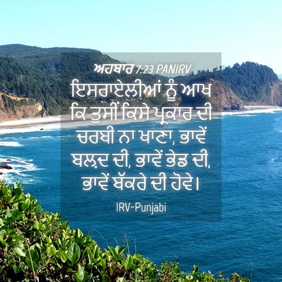 Picture 04 - ਅਹਬਾਰ 7:23 PANIRV - ਇਸਰਾਏਲੀਆਂ ਨੂੰ ਆਖ - Bible Verse Picture