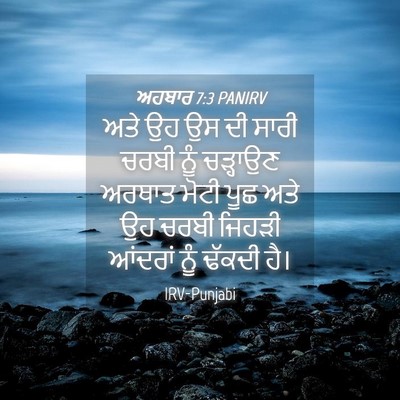 Picture 04 - ਅਹਬਾਰ 7:3 PANIRV - ਅਤੇ ਉਹ ਉਸ ਦੀ ਸਾਰੀ - Bible Verse Picture