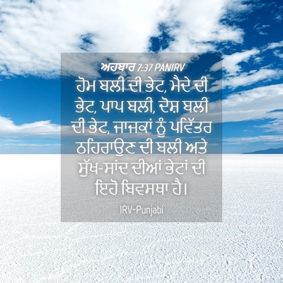 Picture 04 - ਅਹਬਾਰ 7:37 PANIRV - ਹੋਮ ਬਲੀ ਦੀ ਭੇਟ, - Bible Verse Picture