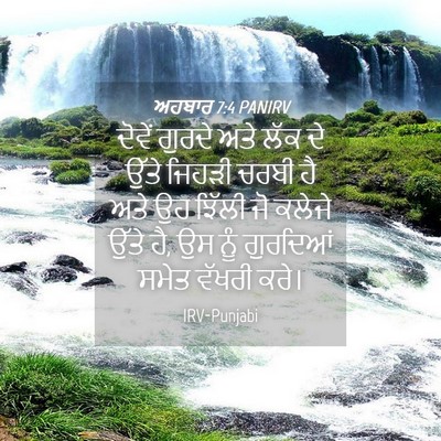 Picture 04 - ਅਹਬਾਰ 7:4 PANIRV - ਦੋਵੇਂ ਗੁਰਦੇ ਅਤੇ - Bible Verse Picture