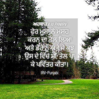 Picture 04 - ਅਹਬਾਰ 8:10 PANIRV - ਫੇਰ ਮੂਸਾ ਨੇ ਮਸਹ ਕਰਨ - Bible Verse Picture