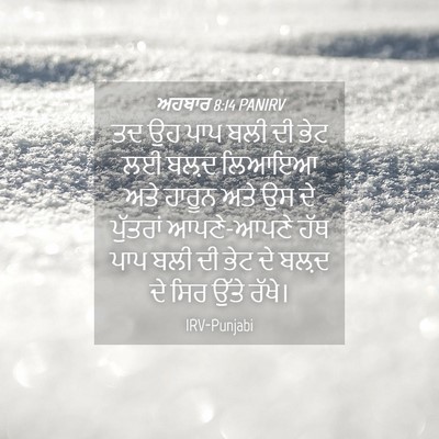 Picture 04 - ਅਹਬਾਰ 8:14 PANIRV - ਤਦ ਉਹ ਪਾਪ ਬਲੀ ਦੀ - Bible Verse Picture