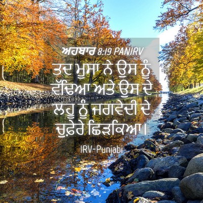 Picture 04 - ਅਹਬਾਰ 8:19 PANIRV - ਤਦ ਮੂਸਾ ਨੇ ਉਸ ਨੂੰ - Bible Verse Picture