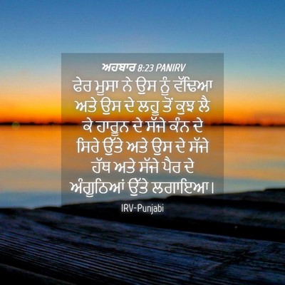 Picture 04 - ਅਹਬਾਰ 8:23 PANIRV - ਫੇਰ ਮੂਸਾ ਨੇ ਉਸ ਨੂੰ - Bible Verse Picture