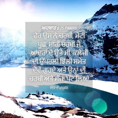 Picture 04 - ਅਹਬਾਰ 8:25 PANIRV - ਫੇਰ ਉਸ ਨੇ ਚਰਬੀ, - Bible Verse Picture