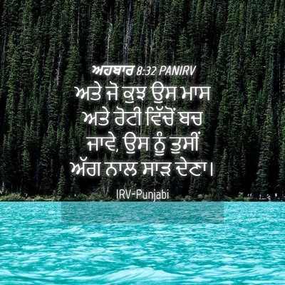 Picture 04 - ਅਹਬਾਰ 8:32 PANIRV - ਅਤੇ ਜੋ ਕੁਝ ਉਸ ਮਾਸ - Bible Verse Picture