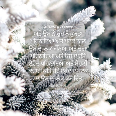 Picture 04 - ਅਹਬਾਰ 8:7 PANIRV - ਅਤੇ ਉਸ ਨੇ ਉਹ ਨੂੰ - Bible Verse Picture