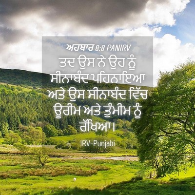 Picture 04 - ਅਹਬਾਰ 8:8 PANIRV - ਤਦ ਉਸ ਨੇ ਉਹ ਨੂੰ - Bible Verse Picture