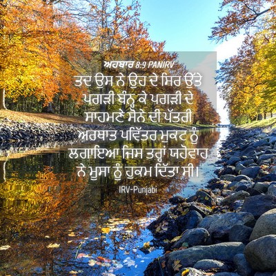 Picture 04 - ਅਹਬਾਰ 8:9 PANIRV - ਤਦ ਉਸ ਨੇ ਉਹ ਦੇ ਸਿਰ - Bible Verse Picture