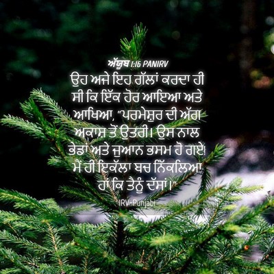 Picture 04 - ਅੱਯੂਬ 1:16 PANIRV - ਉਹ ਅਜੇ ਇਹ ਗੱਲਾਂ - Bible Verse Picture