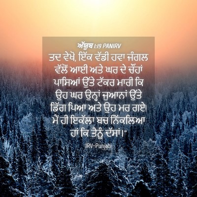 Picture 04 - ਅੱਯੂਬ 1:19 PANIRV - ਤਦ ਵੇਖੋ, ਇੱਕ ਵੱਡੀ - Bible Verse Picture
