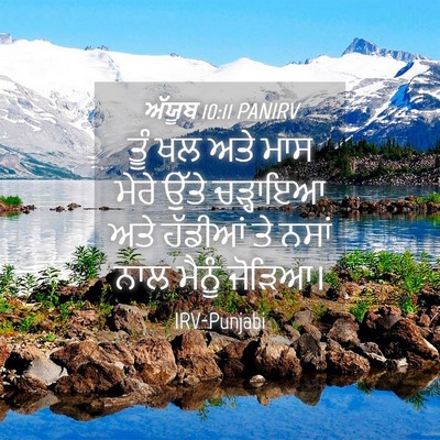 Picture 04 - ਅੱਯੂਬ 10:11 PANIRV - ਤੂੰ ਖਲ ਅਤੇ ਮਾਸ ਮੇਰੇ - Bible Verse Picture