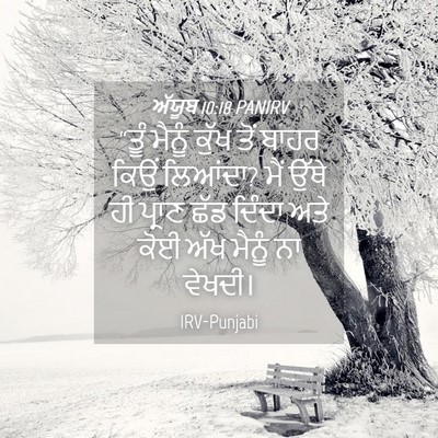 Picture 04 - ਅੱਯੂਬ 10:18 PANIRV - “ਤੂੰ ਮੈਨੂੰ ਕੁੱਖ - Bible Verse Picture