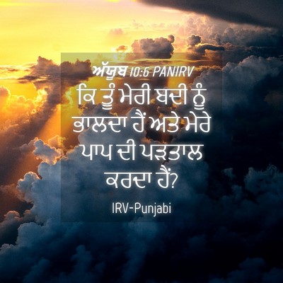 Picture 04 - ਅੱਯੂਬ 10:6 PANIRV - ਕਿ ਤੂੰ ਮੇਰੀ ਬਦੀ ਨੂੰ - Bible Verse Picture