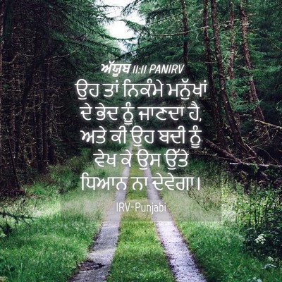 Picture 04 - ਅੱਯੂਬ 11:11 PANIRV - ਉਹ ਤਾਂ ਨਿਕੰਮੇ - Bible Verse Picture