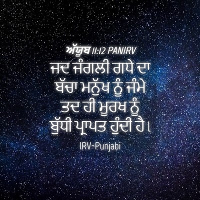 Picture 04 - ਅੱਯੂਬ 11:12 PANIRV - ਜਦ ਜੰਗਲੀ ਗਧੇ ਦਾ - Bible Verse Picture