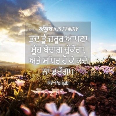 Picture 04 - ਅੱਯੂਬ 11:15 PANIRV - ਤਦ ਤੂੰ ਜ਼ਰੂਰ ਆਪਣਾ - Bible Verse Picture