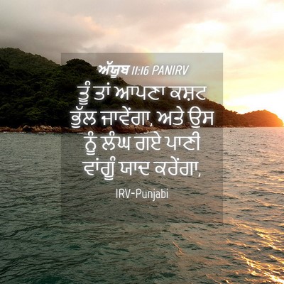 Picture 04 - ਅੱਯੂਬ 11:16 PANIRV - ਤੂੰ ਤਾਂ ਆਪਣਾ ਕਸ਼ਟ - Bible Verse Picture