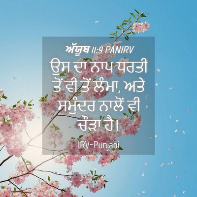Picture 04 - ਅੱਯੂਬ 11:9 PANIRV - ਉਸ ਦਾ ਨਾਪ ਧਰਤੀ ਤੋਂ - Bible Verse Picture