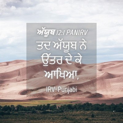 Picture 04 - ਅੱਯੂਬ 12:1 PANIRV - ਤਦ ਅੱਯੂਬ ਨੇ ਉੱਤਰ ਦੇ - Bible Verse Picture
