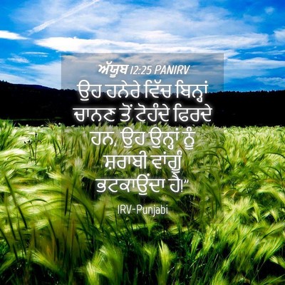 Picture 04 - ਅੱਯੂਬ 12:25 PANIRV - ਉਹ ਹਨੇਰੇ ਵਿੱਚ - Bible Verse Picture