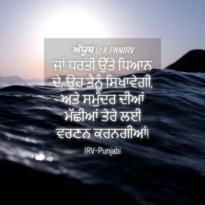 Picture 04 - ਅੱਯੂਬ 12:8 PANIRV - ਜਾਂ ਧਰਤੀ ਉੱਤੇ ਧਿਆਨ - Bible Verse Picture