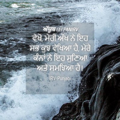 Picture 04 - ਅੱਯੂਬ 13:1 PANIRV - ਵੇਖੋ, ਮੇਰੀ ਅੱਖ ਨੇ - Bible Verse Picture