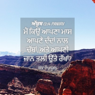 Picture 04 - ਅੱਯੂਬ 13:14 PANIRV - ਮੈਂ ਕਿਉਂ ਆਪਣਾ ਮਾਸ - Bible Verse Picture