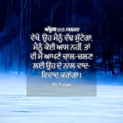 Picture 04 - ਅੱਯੂਬ 13:15 PANIRV - ਵੇਖੋ, ਉਹ ਮੈਨੂੰ ਵੱਢ - Bible Verse Picture