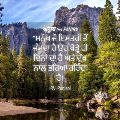 Picture 04 - ਅੱਯੂਬ 14:1 PANIRV - “ਮਨੁੱਖ ਜੋ ਇਸਤਰੀ - Bible Verse Picture